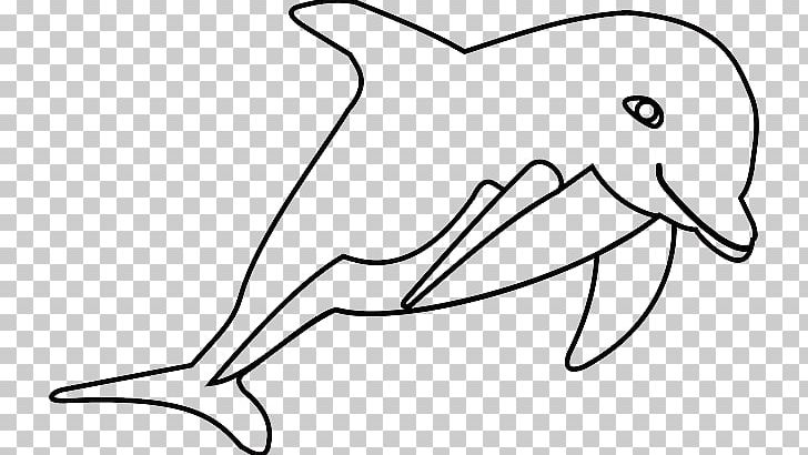 Dolphin PNG, Clipart, Art, Artwork, Beak, Black And White, Cartoon Free PNG Download