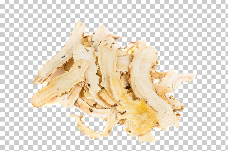Female Ginseng Stock Photography Chinese Herbology PNG, Clipart, Angelica, Chinese Herbology, Cuisine, Dang, Female Free PNG Download