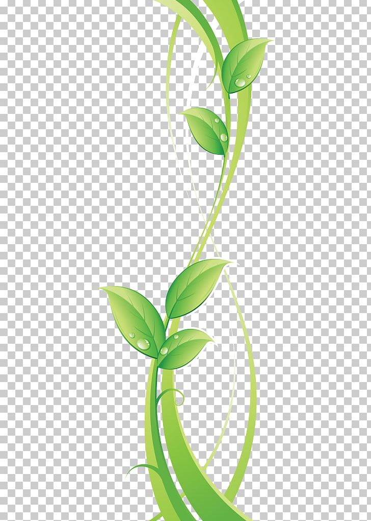 Green PNG, Clipart, Ecology, Flora, Flower, Grass, Grass Family Free PNG Download