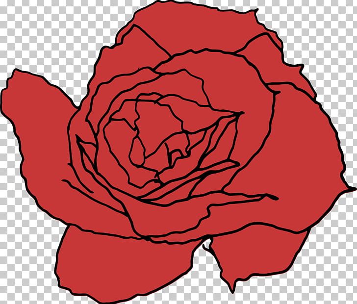 Garden Roses Line Art Drawing PNG, Clipart, Area, Art, Artwork, Black And White, Cut Flowers Free PNG Download