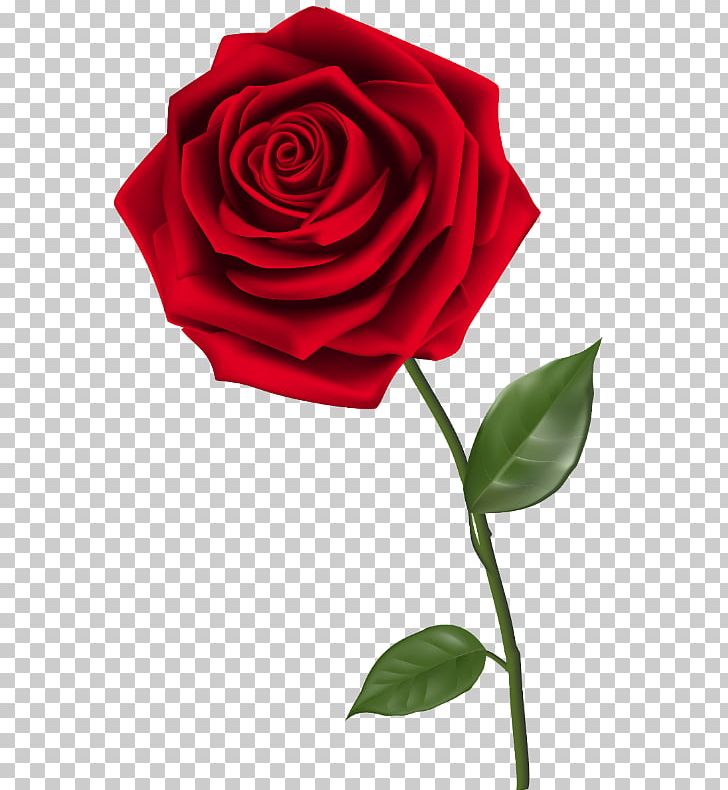 Rose Desktop PNG, Clipart, China Rose, Computer Icons, Cut Flowers, Desktop Wallpaper, Download Free PNG Download