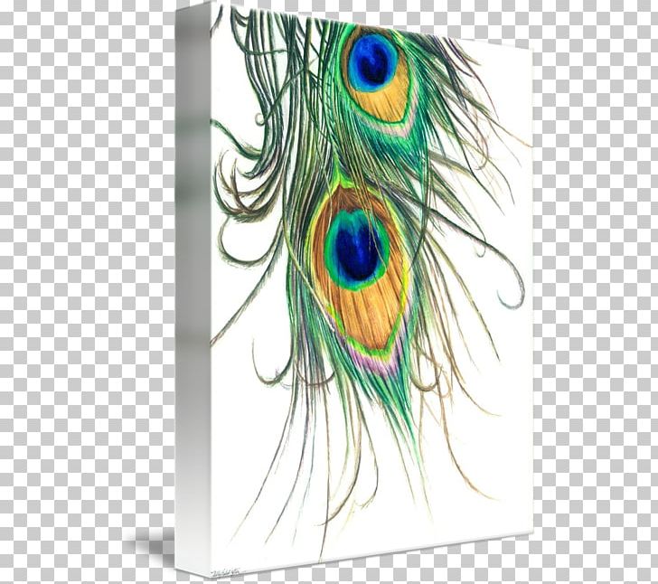 Watercolor Painting Feather Pavo Drawing PNG, Clipart, Abstract Art, Art, Beak, Bird, Canvas Free PNG Download