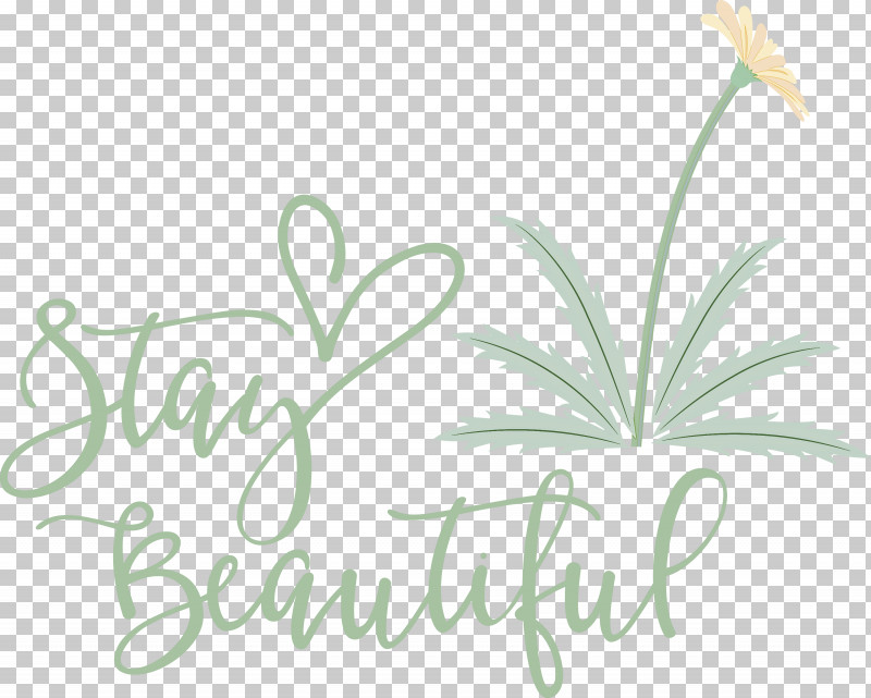 Stay Beautiful Fashion PNG, Clipart, Biology, Fashion, Flower, Green, Leaf Free PNG Download