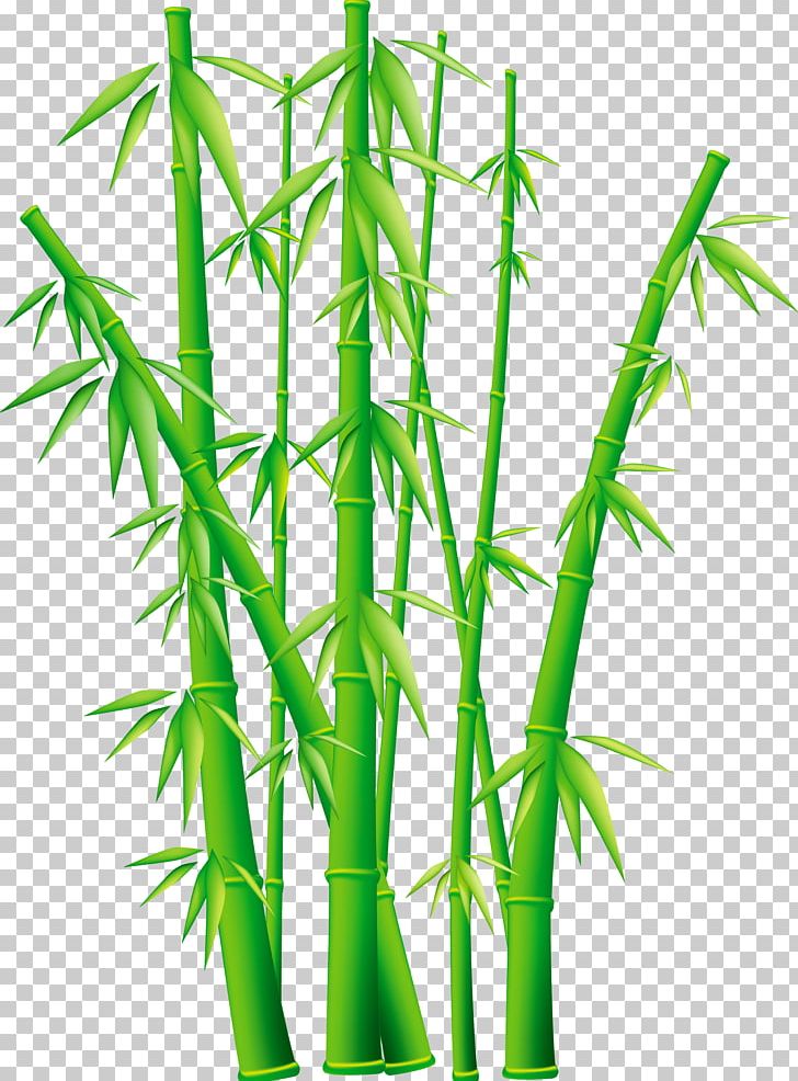 Bamboo PNG, Clipart, Asia, Bamboo, Bamboo Textile, Chi, Clip Art Free PNG Download