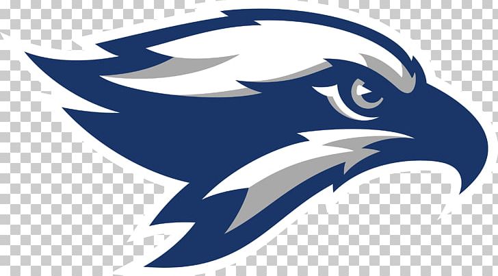 Broward College-Weston Center Bald Eagle Seattle Seahawks Logo Sports PNG, Clipart, Accipitriformes, Bald Eagle, Beak, Bird, Bird Of Prey Free PNG Download