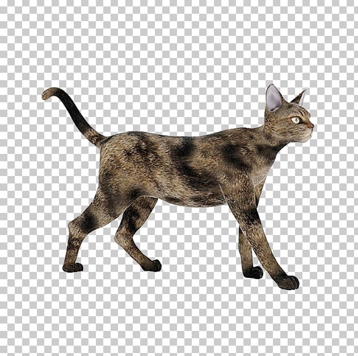 Cat 3D Modeling 3D Computer Graphics Autodesk 3ds Max Texture Mapping PNG, Clipart, 3d Computer Graphics, 3d Modeling, Animal, Animals, Black Cat Free PNG Download