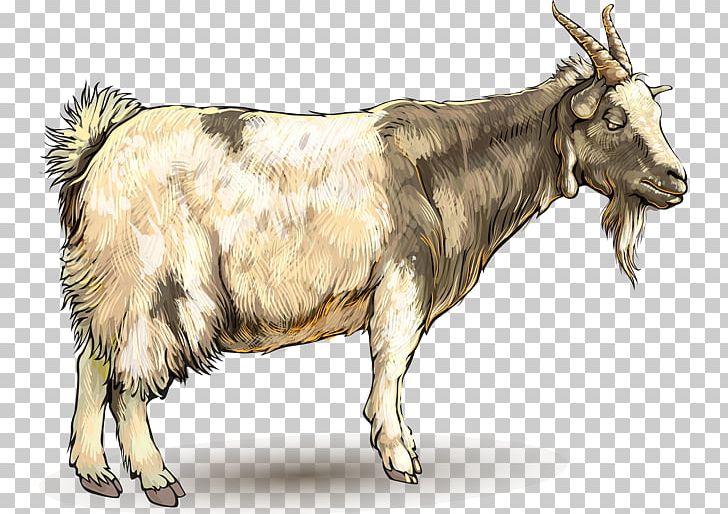 Goat Ahuntz Drawing Animal PNG, Clipart, Ahuntz, Animal, Animals, Cartoon, Cattle Like Mammal Free PNG Download