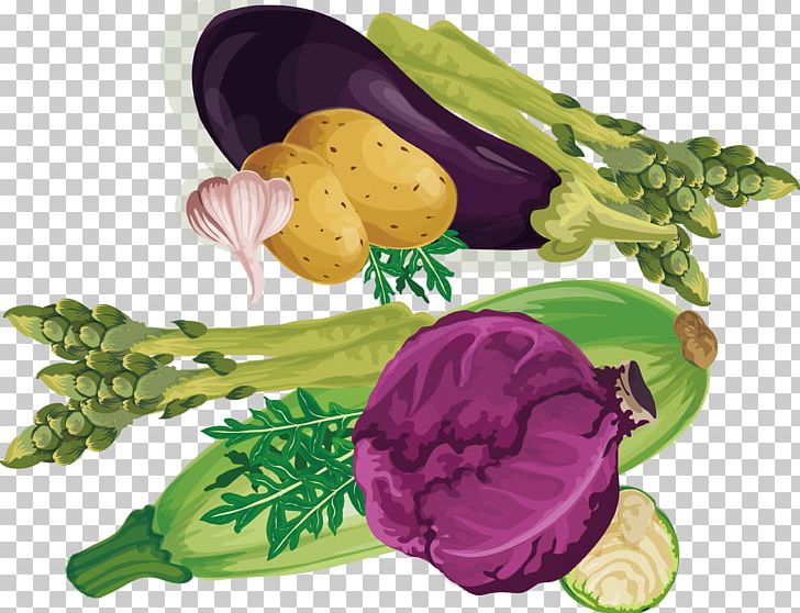 Leaf Vegetable Purple Vegetarian Cuisine PNG, Clipart, Cabbage Vector, Euclidean Vector, Food, Fresh Vegetables, Healthy And Delicious Vegetables Free PNG Download