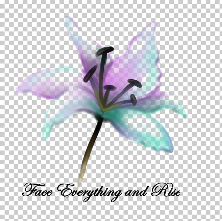 Plant Stem Lily M PNG, Clipart, Flower, Flowering Plant, Lilac, Lily, Lily Family Free PNG Download