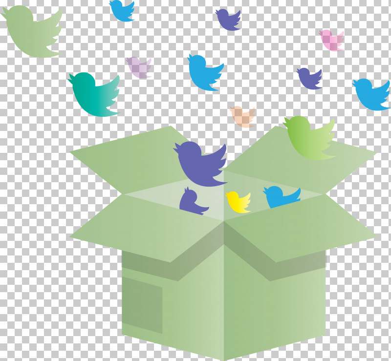 Twitter Birds Opened Box PNG, Clipart, Birds, Opened Box, Plant, Twitter Free PNG Download