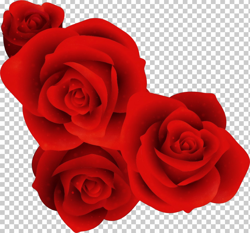 Garden Roses PNG, Clipart, Artificial Flower, Bouquet, Carmine, China Rose, Cut Flowers Free PNG Download