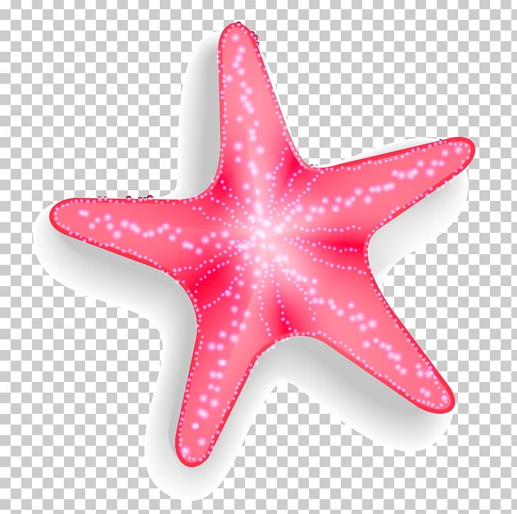 Starfish Euclidean Pisaster Brevispinus PNG, Clipart, Adobe Illustrator, Animals, Encapsulated Postscript, Happy Birthday Vector Images, Marine Invertebrates Free PNG Download