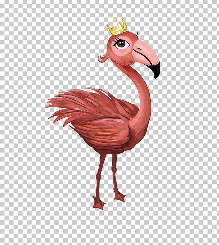 Water Bird Chicken A Little Boy With A Big Imagination Flamingo PNG, Clipart, Animal, Animal Figure, Animals, Beak, Big Free PNG Download