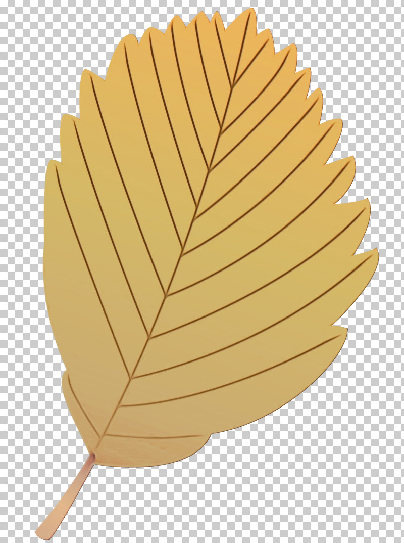 Leaf Tree /m/083vt Wood Science PNG, Clipart, Biology, Leaf, M083vt, Paint, Plant Free PNG Download