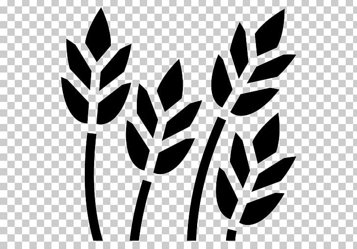 Computer Icons Wheat Food Symbol PNG, Clipart, Black And White, Branch, Commodity, Flora, Flower Free PNG Download