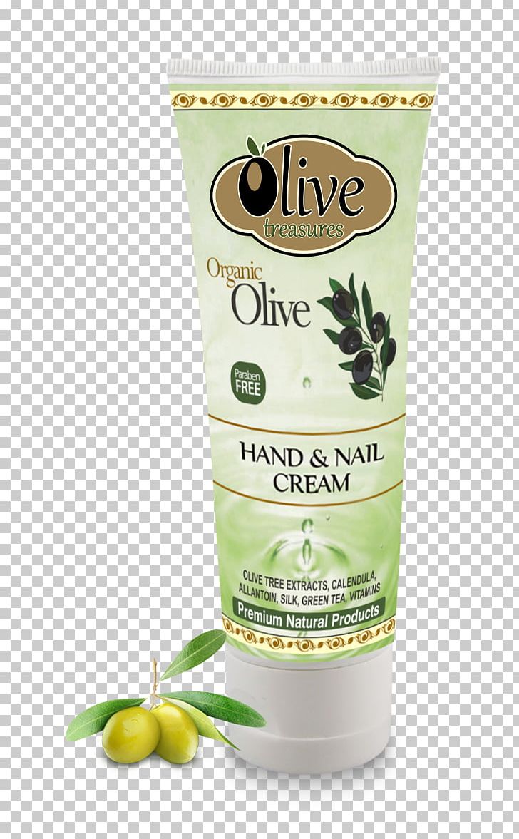 Cream Lotion Olive Oil Avocado Oil PNG, Clipart, Almond Oil, Aloe Vera, Argan Oil, Avocado Oil, Cosmetics Free PNG Download