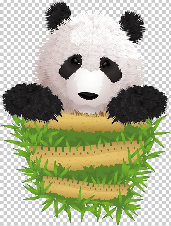 Giant Panda Cuteness Illustration PNG, Clipart, Adobe Illustrator, Animal, Animal Illustration, Animals, Bear Free PNG Download