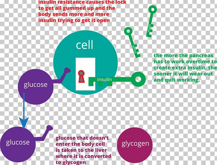 Insulin Resistance Key Lock Glycogen PNG, Clipart, Area, Blood Glucose, Brand, Cell, Communication Free PNG Download