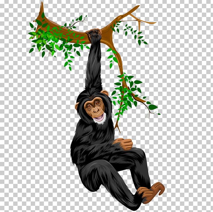 Orangutan Drawing Comics PNG, Clipart, Animal, Animal Illustration, Animals, Autumn Tree, Branches Free PNG Download