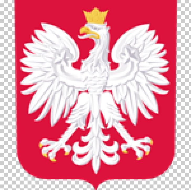 Poland National Football Team 2018 World Cup Logo Coat Of Arms Of Poland PNG, Clipart, 2018 World Cup, Beak, Bird, Chicken, Coat Of Arms Free PNG Download