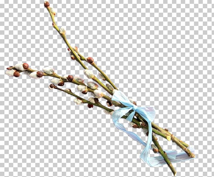Twig Branch PNG, Clipart, Advertising, Body Jewelry, Branch, Download, Gratis Free PNG Download