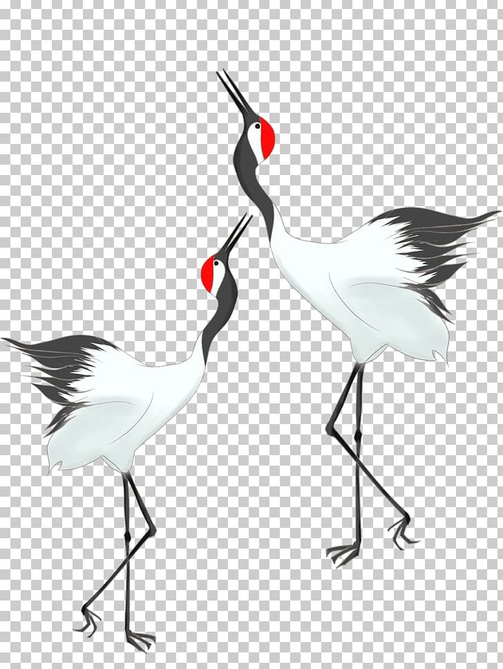 Water Bird Beak Neck Wader PNG, Clipart, Animals, Beak, Bird, Black And White, Crane Free PNG Download