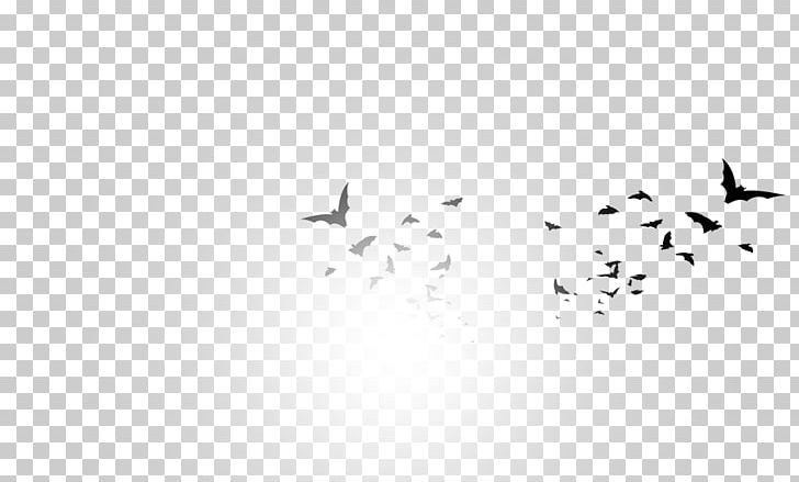 Bird Migration Font Point PNG, Clipart, Animal Migration, Beak, Bird, Bird Migration, Black Free PNG Download