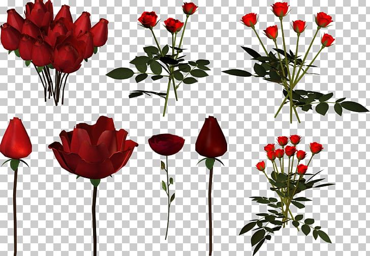 Garden Roses Tulip Cut Flowers Floral Design PNG, Clipart, Anemone, Basket, Cut Flowers, Flora, Floral Design Free PNG Download