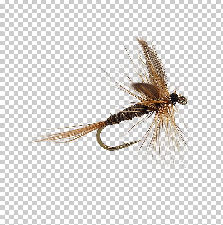 Holly Flies Artificial Fly Fly Fishing Insect PNG, Clipart, 17065