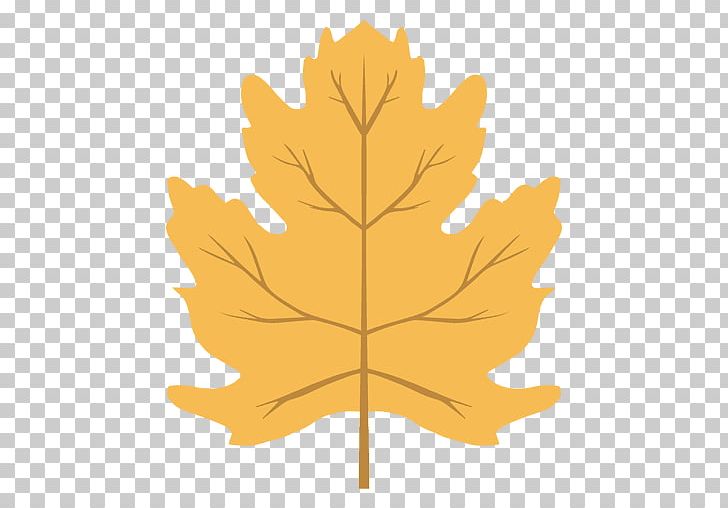 Maple Leaf Autumn Leaf Color PNG, Clipart, Autumn, Autumn Leaf, Autumn Leaf Color, Diagram, Drawing Free PNG Download