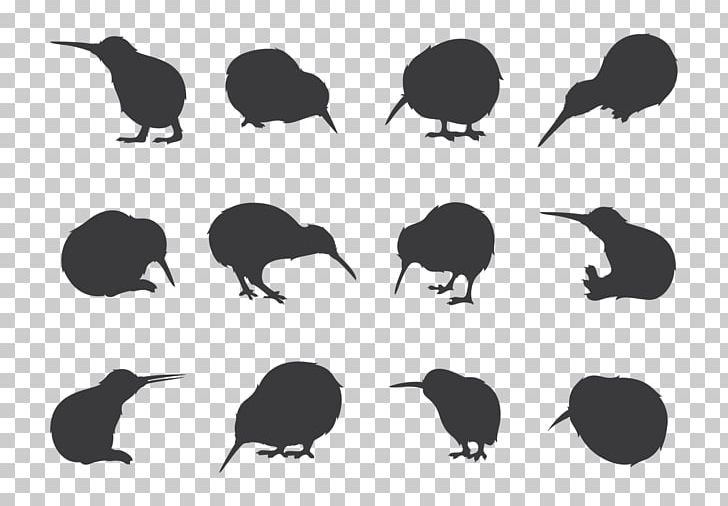 New Zealand Kiwis Silhouette Drawing PNG, Clipart, Animals, Beak, Bird, Bird Of Prey, Black And White Free PNG Download