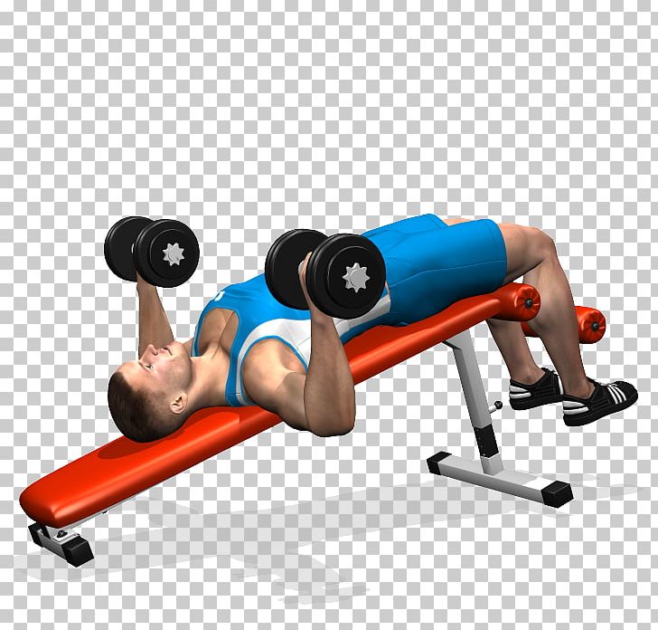 Weight Training Bench Press Dumbbell Barbell PNG, Clipart, Arm, Balance, Barbell, Ben, Bentover Row Free PNG Download