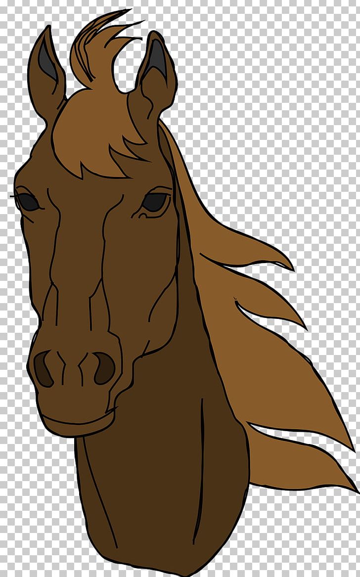 Arabian Horse American Quarter Horse Mustang PNG, Clipart, American Quarter Horse, Black, Carnivoran, Fictional Character, Head Free PNG Download