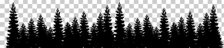 Eastern White Pine Tree Forest PNG, Clipart, Black And White, Clip, Color, Computer Wallpaper, Drawing Free PNG Download