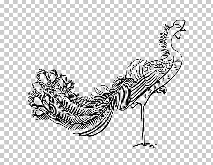 Fenghuang Stroke Bird Budaya Tionghoa Chinese Mythology PNG, Clipart, Abstract Lines, Animals, Black, Chicken, Child Free PNG Download