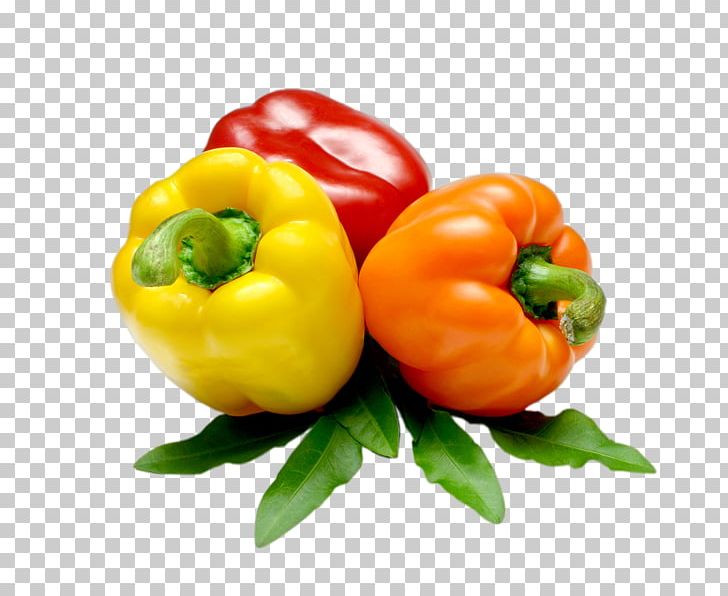 Piquillo Pepper Bell Pepper Chili Pepper Vegetable Cayenne Pepper PNG, Clipart, Bell Pepper, Cayenne Pepper, Chili Pepper, Piquillo Pepper, Savoy Cabbage Free PNG Download