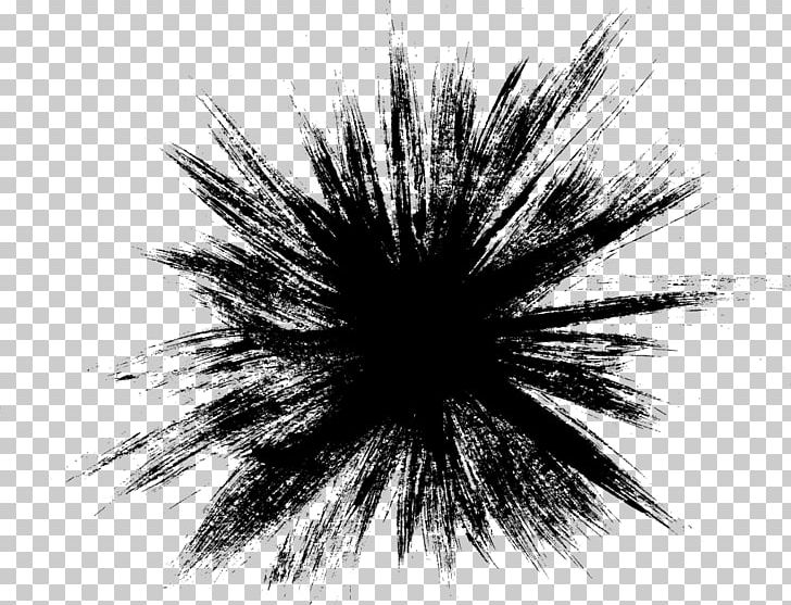 Explosion PNG, Clipart, Apng, Black, Black And White, Closeup, Color Free PNG Download