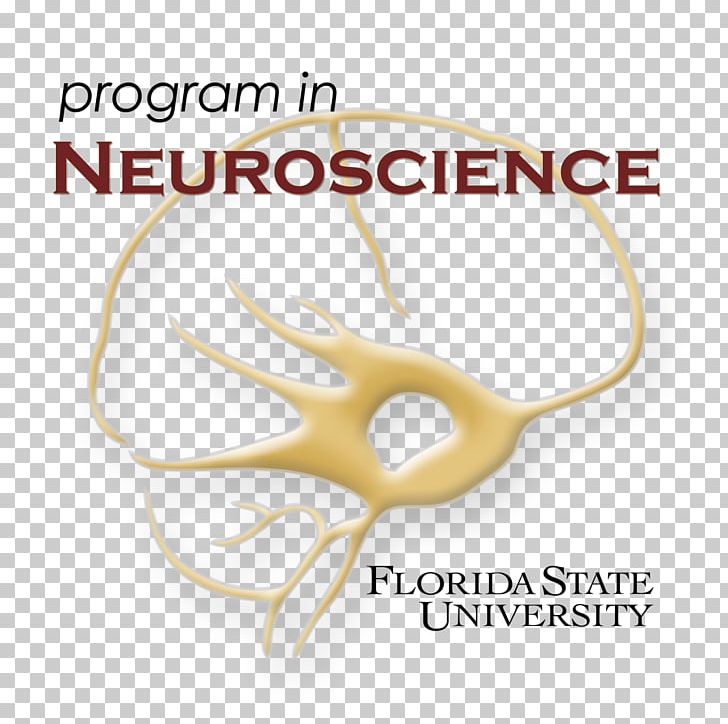 Florida State University Research Neuroscience Biology PNG, Clipart,  Free PNG Download