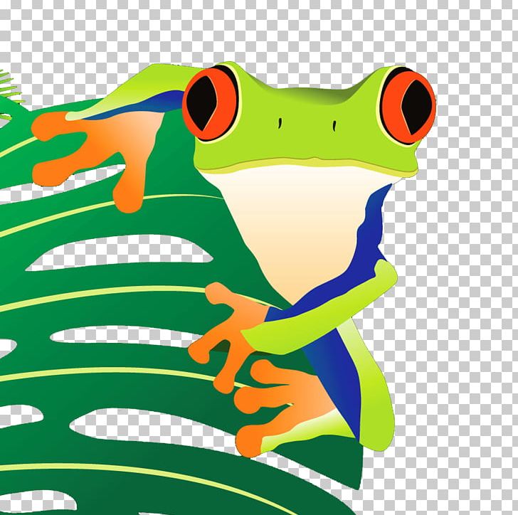 Tree Frog True Frog Toad PNG, Clipart, Amphibian, Animals, Art, Download, Encapsulated Postscript Free PNG Download