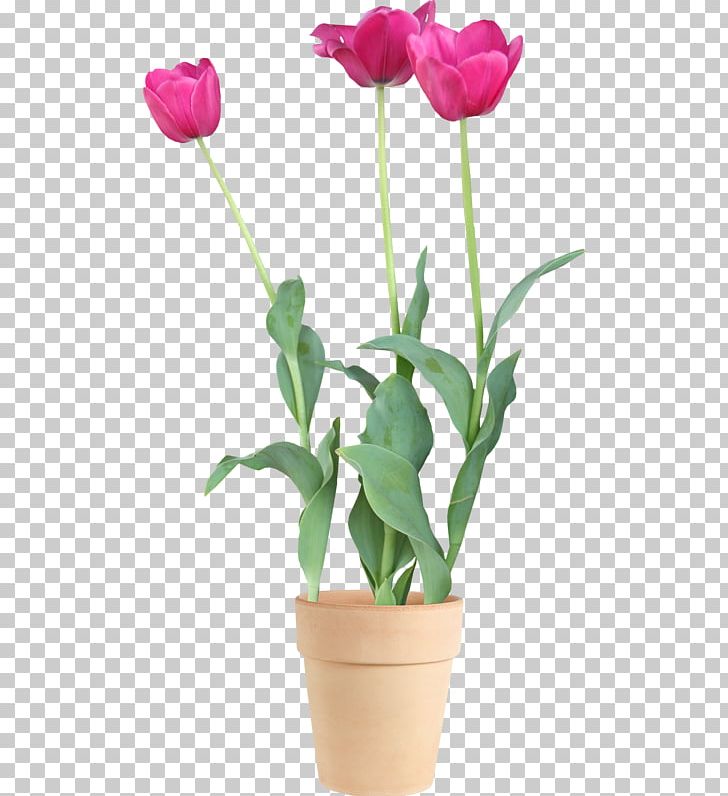Tulip Floristry Cut Flowers Flowerpot PNG, Clipart, Artificial Flower, Bud, Creation, Cut Flowers, Family Free PNG Download