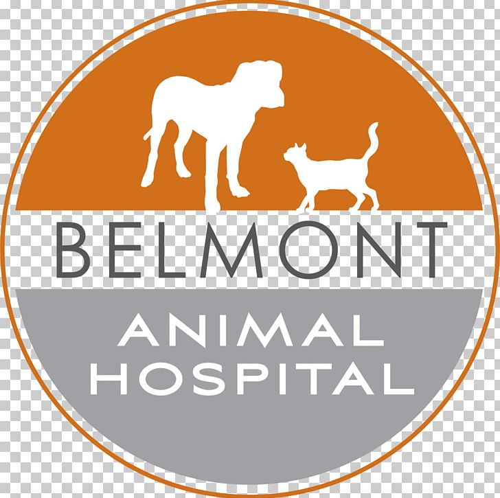 Belmont Animal Hospital Dog LBMC Blood Clinique Vétérinaire PNG, Clipart, Animal, Animal Hospital, Area, Belmont, Belmonthillsboro Free PNG Download
