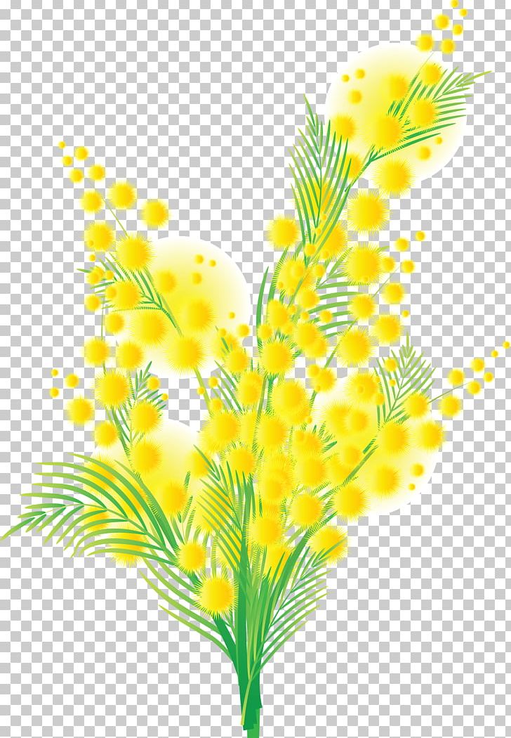 Mimosa Flower PNG, Clipart, Branch, Commodity, Desktop Wallpaper, Flower, Flower Bouquet Free PNG Download