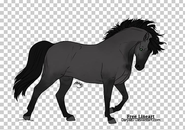 Mustang Stallion Mare Bridle Halter PNG, Clipart, Black And White, Bridle, Halter, Horse, Horse Like Mammal Free PNG Download