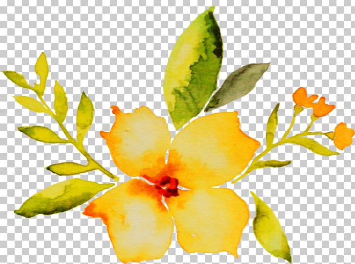 Petal Cut Flowers Watercolor Painting Plant Stem PNG, Clipart, Branch, Branching, Cut Flowers, Flora, Flower Free PNG Download