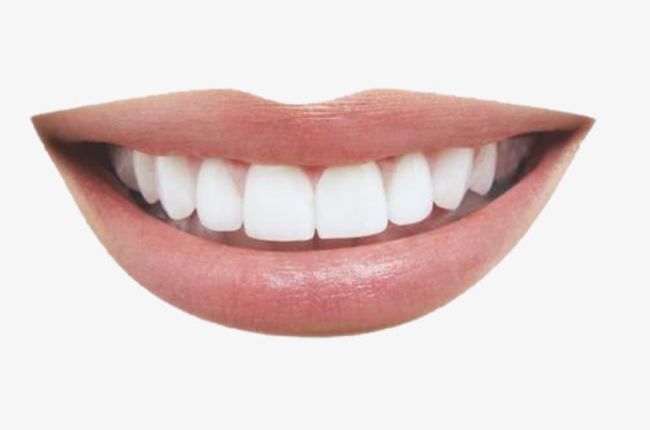Smiling Mouth PNG, Clipart, Articulate, Element, Mouth, Mouth Clipart, Oral Free PNG Download
