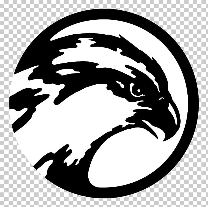 University Of North Florida (UNF) North Florida Ospreys Men's Basketball Logo Iron-on Mascot PNG, Clipart,  Free PNG Download