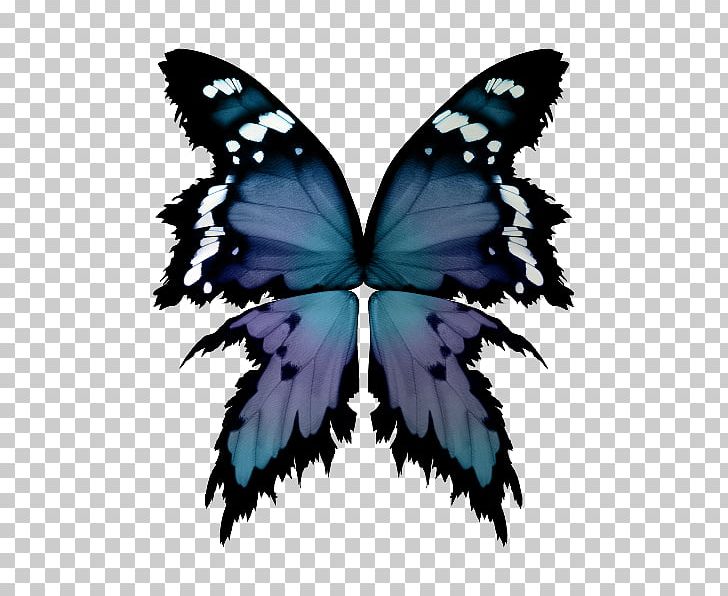 Butterfly Painting Brush Symmetry PNG, Clipart, Arthropod, Brush, Brush Footed Butterfly, Butterfly, Fae Free PNG Download