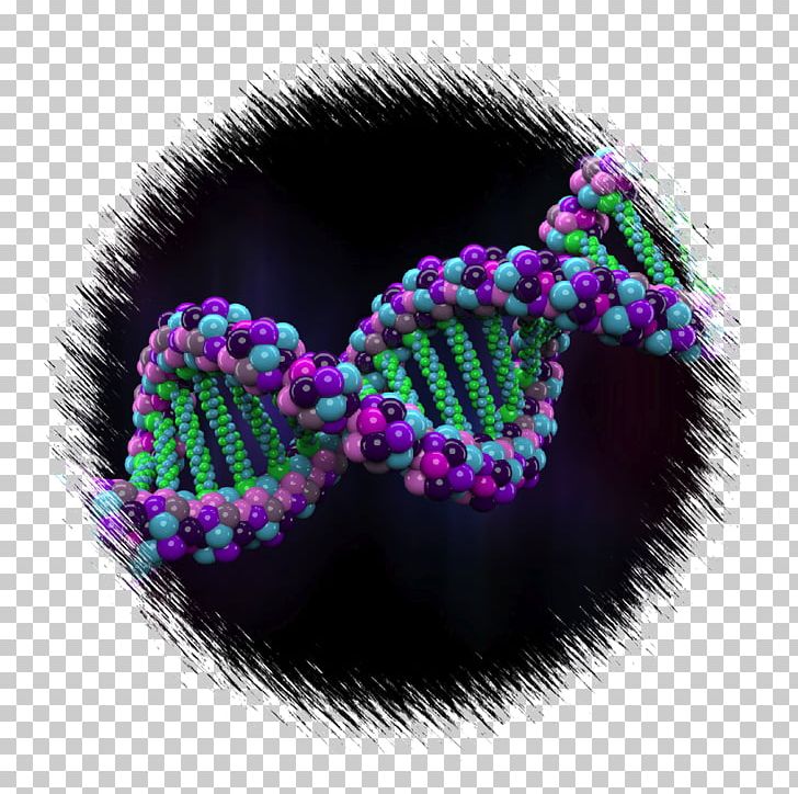 Human Genome Project Genetics PNG, Clipart, Bead, Body Jewelry, Dna, Gene, Gene Mapping Free PNG Download