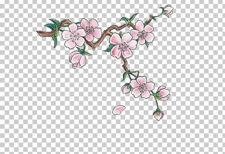 Japan Cherry Blossom Drawing Sticker PNG, Clipart, Blog, Blossom, Blossoms, Branch, Cherry Free PNG Download