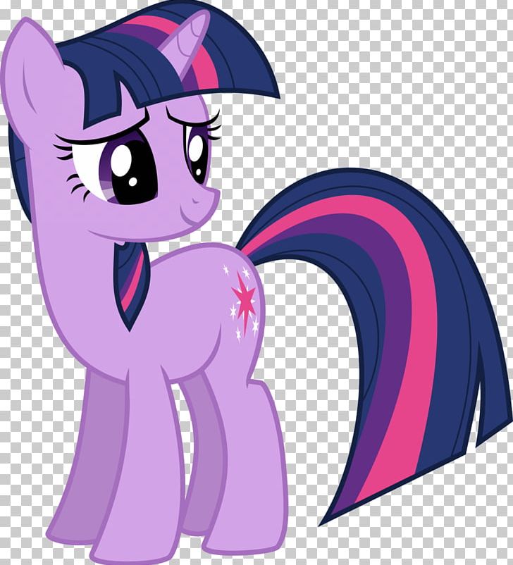 Twilight Sparkle Rainbow Dash Rarity Pony PNG
